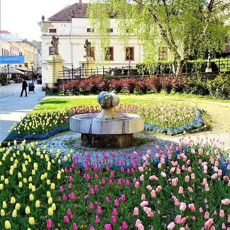 Carlone House * エゲル