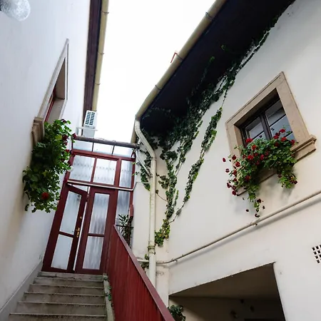 ホームステイ Carlone House